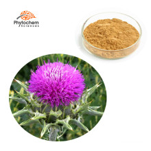 Liver protect Milk Thistle Extract 80% Silymarin